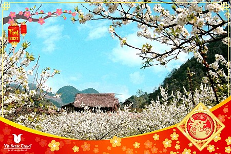 Chương trình Khám Phá Vòng Cung Đông Bắc Kì Vĩ! Tết Âm Lịch 2025