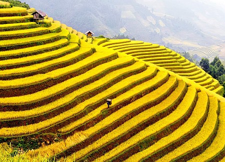 Đồng Văn – Cột Cờ Lũng Cú – Mã Pì Lèng - Yên Minh – Núi Đôi Quản Bạ - Làng Nghề Dệt Lùng Tám | 3 Ngày 2 Đêm