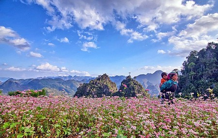 Đồng Văn – Cột Cờ Lũng Cú – Mã Pì Lèng - Yên Minh – Núi Đôi Quản Bạ - Làng Nghề Dệt Lùng Tám | 3 Ngày 2 Đêm