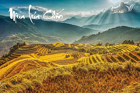 DU NGOẠN HOÀNG SU PHÌ MÙA LÚA CHÍN DU NGOẠN HOÀNG SU PHÌ MÙA LÚA CHÍN