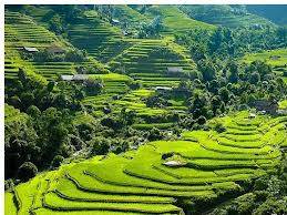 Hà Nội  - Hà Giang – Chợ Tình Khâu Vai 5 Ngày 4 Đêm