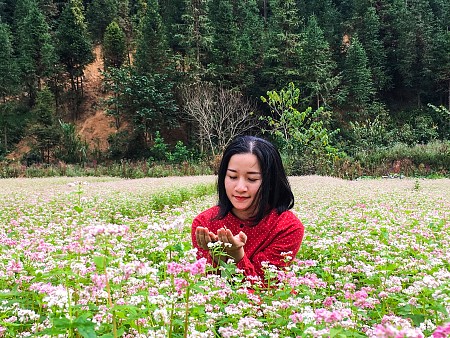 Hà Nội - Hà Giang - Đồng Văn - Lũng Cú - Khuyến Mại Lễ 2/9/2025