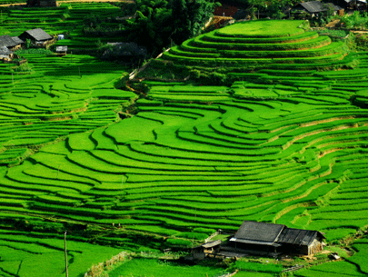 Hà Nội - Hà Giang - Đồng Văn – Mã Pì Lèng – Mèo Vạc – Hoàng Su Phì – Xín Mần 2025