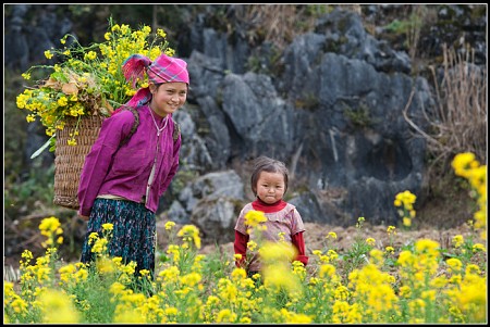 Hà Nội – Hà Giang – Hoàng Su Phì 5 Ngày 4 Đêm