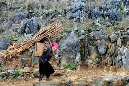 Hà Nội – Hà Giang – Hoàng Su Phì 5 Ngày 4 Đêm