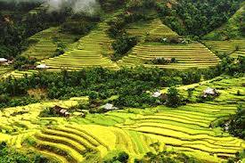 Hà Nội – Hà Giang – Hoàng Su Phì 5 Ngày 4 Đêm