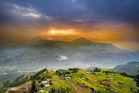 DU NGOẠN HOÀNG SU PHÌ MÙA LÚA CHÍN