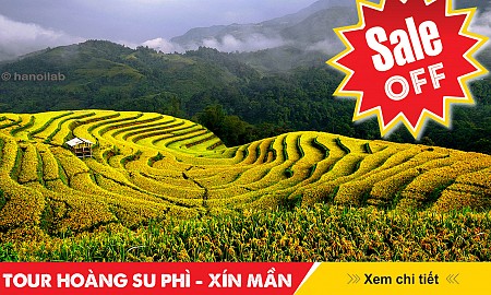 DU NGOẠN HOÀNG SU PHÌ MÙA LÚA CHÍN