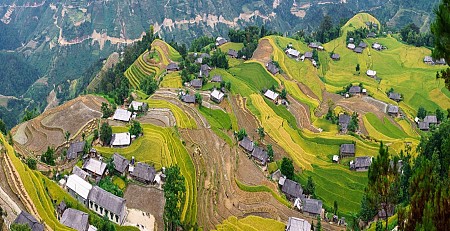 DU NGOẠN HOÀNG SU PHÌ MÙA LÚA CHÍN