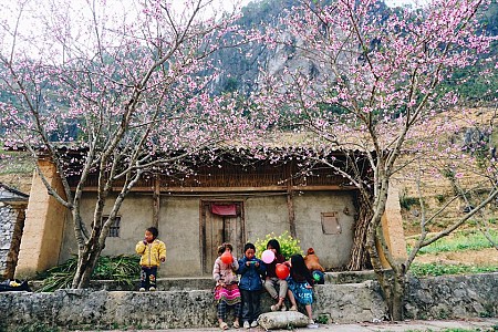 Hành Trình Khám Phá Hà Giang - Đồng Văn - Lũng Cú Tết Dương Lịch 2025