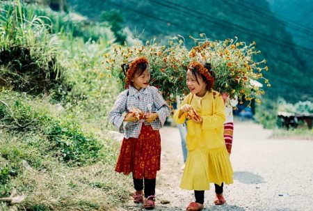 Hành Trình Khám Phá Hà Giang - Đồng Văn - Lũng Cú Tết Dương Lịch 2025