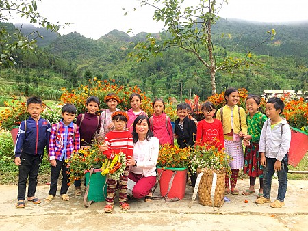 HÀNH TRÌNH VÒNG CUNG ĐÔNG BẮC: Đồng Văn - Lũng Cú - Thác Bản Giốc - Pác Bó - Cao Bằng