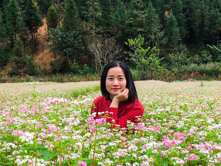 HÀNH TRÌNH VÒNG CUNG ĐÔNG BẮC: Đồng Văn - Lũng Cú - Thác Bản Giốc - Pác Bó - Cao Bằng