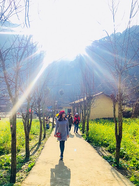 HÀNH TRÌNH VÒNG CUNG ĐÔNG BẮC: Đồng Văn - Lũng Cú - Thác Bản Giốc - Pác Bó - Cao Bằng