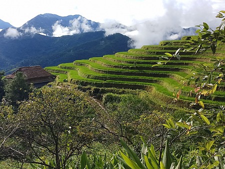 HOÀNG SU PHÌ BUNGALOW - HOMESTAY NẬM HỒNG