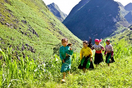 Khám Phá Bản Làng Dân Tộc: Tuyên Quang – Hà Giang – Bản Người Tày - Tham Quan Bản Người Dao - Đồng Văn
