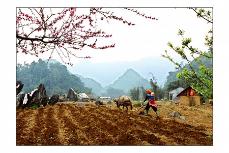 Lũng Cú – Đồng Văn – Mèo Vạc Tuyên Quang – Tân Trào | 4 Ngày 3 Đêm