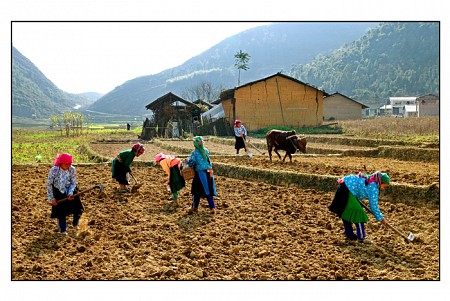Lũng Cú – Đồng Văn – Tuyên Quang - Tân Trào – Hồ Ba Bể - Hang Pắc Pó – Thác Bản Giốc – Lạng Sơn 7 Ngày 6 Đêm