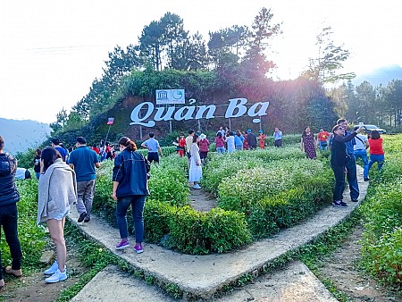 Mùa Hoa Tam Giác Mạch 3 Ngày 2 Đêm | Quản Bạ - Yên Minh - Đồng Văn - Lũng Cú - Sông Nho Quế - Chợ Phiên Đồng Văn - Dinh Vua Mèo