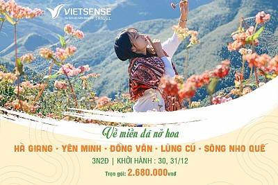 Mùa Hoa Tam Giác Mạch 3 Ngày 2 Đêm | Quản Bạ - Yên Minh - Đồng Văn - Lũng Cú - Sông Nho Quế - Chợ Phiên Đồng Văn - Dinh Vua Mèo