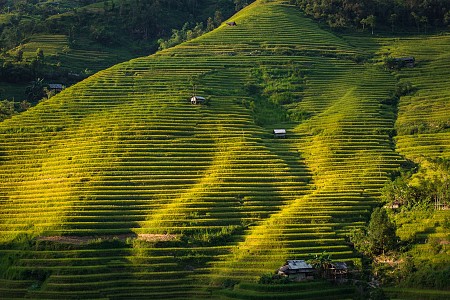 Đồng Văn - Lũng Cú Dịp Tết Dương Lịch 2025