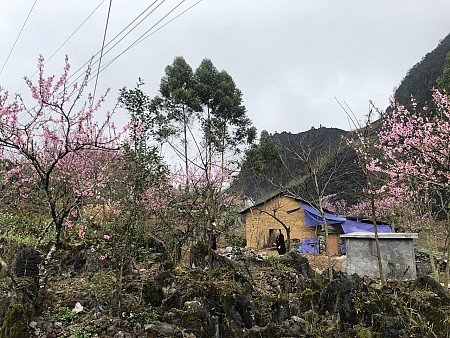 Quản Bạ - Yên Minh - Đồng Văn - Lũng Cú - Dinh Vua Mèo | 3 Ngày 2 Đêm Thứ 6 Hàng Tuần