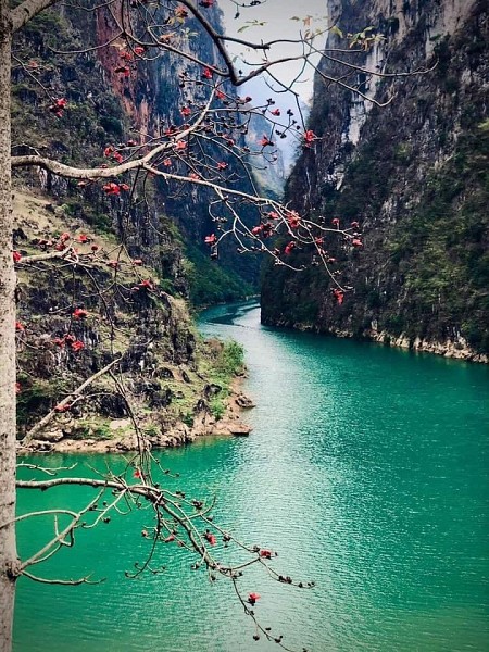Quản Bạ - Yên Minh - Đồng Văn - Lũng Cú - Dinh Vua Mèo | 3 Ngày 2 Đêm Thứ 6 Hàng Tuần