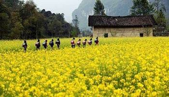 Quản Bạ - Yên Minh - Đồng Văn - Lũng Cú - Dinh Vua Mèo | 3 Ngày 2 Đêm Thứ 6 Hàng Tuần