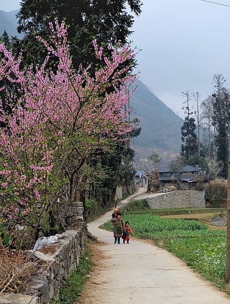 Quản Bạ - Yên Minh - Đồng Văn - Lũng Cú - Dinh Vua Mèo | 3 Ngày 2 Đêm Thứ 6 Hàng Tuần