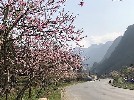 Quản Bạ - Yên Minh - Đồng Văn - Lũng Cú - Dinh Vua Mèo | 3 Ngày 2 Đêm Thứ 6 Hàng Tuần
