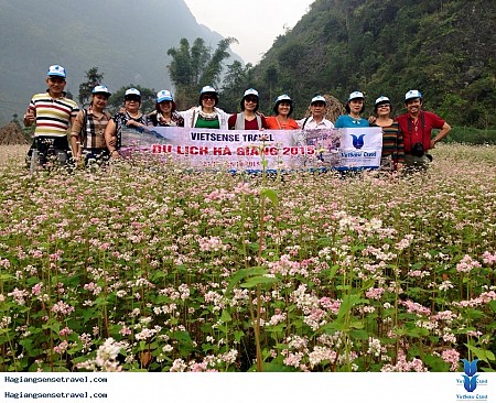 Quản Bạ - Yên Minh - Đồng Văn - Lũng Cú - Mã Pí Lèng - Chợ Phiên Mèo Vạc 3N2D Dịp Tết Âm Lịch