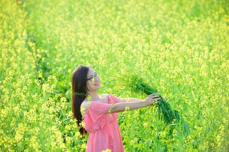 Quản Bạ - Yên Minh - Đồng Văn - Lũng Cú - Mã Pí Lèng | Mùa Hoa Đào Hoa Cải Tháng 3