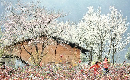 Quản Bạ - Yên Minh - Đồng Văn - Lũng Cú - Mã Pí Lèng | Mùa Hoa Đào Hoa Cải Tháng 3