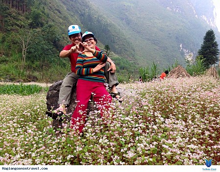 Quảng Bạ – Yên Minh – Đồng Văn – Lũng Cú- Mã Pí Lèng  - Mèo Vạc | 3 Ngày 2 Đêm Khởi Hành Thứ 6 Hàng Tuần