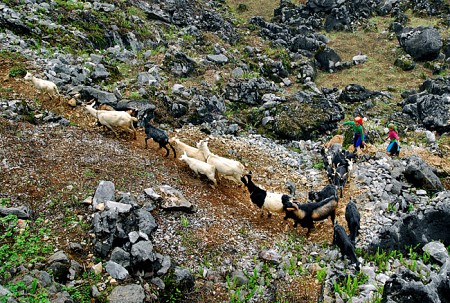 Sài Gòn – Hà Giang – Đồng Văn – Lũng Cú
