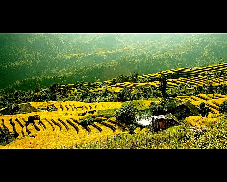 Tuyên Quang - Quản Bạ - Yên Minh – Đồng Văn – Lũng Cú | 3 Ngày 2 Đêm