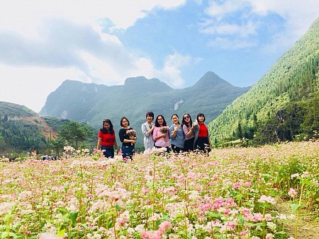 Tuyên Quang – Tp Hà Giang – Yên Minh – Đồng Văn - Mã Pí Lèng - 3 Ngày 2 Đêm