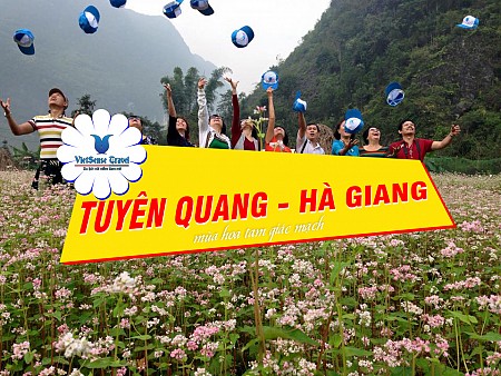 Tuyên Quang - Yên Minh – Đồng Văn – Lũng Cú - Chợ Phiên Đồng Văn - Mã Pí Lèng Mùa Hoa Tam Giác Mạch