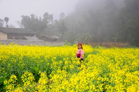 Yên Minh – Đồng Văn – Tuyên Quang | Dịp Lễ 30/4
