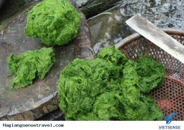 Rêu nướng - Ảnh 1