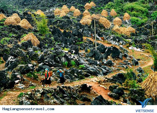 Công Bố Quy Hoạch Quốc Gia Khu Thăm Quan Cao Nguyên Đá Đồng Văn - Ảnh 2 Công Bố Quy Hoạch Quốc Gia Khu Thăm Quan Cao Nguyên Đá Đồng Văn - Ảnh 2