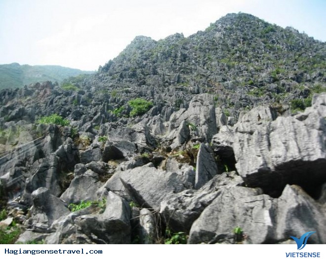 Công Bố Quy Hoạch Quốc Gia Khu Thăm Quan Cao Nguyên Đá Đồng Văn - Ảnh 4 Công Bố Quy Hoạch Quốc Gia Khu Thăm Quan Cao Nguyên Đá Đồng Văn - Ảnh 4