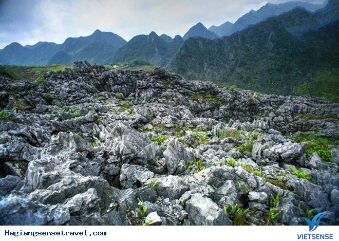 Công Bố Quy Hoạch Quốc Gia Khu Thăm Quan Cao Nguyên Đá Đồng Văn - Ảnh 6 Công Bố Quy Hoạch Quốc Gia Khu Thăm Quan Cao Nguyên Đá Đồng Văn - Ảnh 6