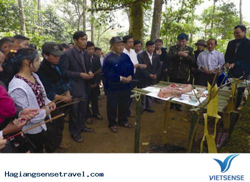 Đàn cúng thần rừng của người Pu Péo - Ảnh 2