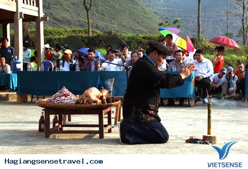 Đàn cúng thần rừng của người Pu Péo - Ảnh 1