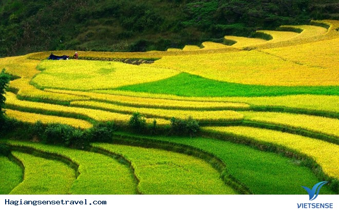 Lên Hà Giang Xem Chọi Dê Những Ngày Đầu Xuân - Ảnh 1 Lên Hà Giang Xem Chọi Dê Những Ngày Đầu Xuân - Ảnh 1