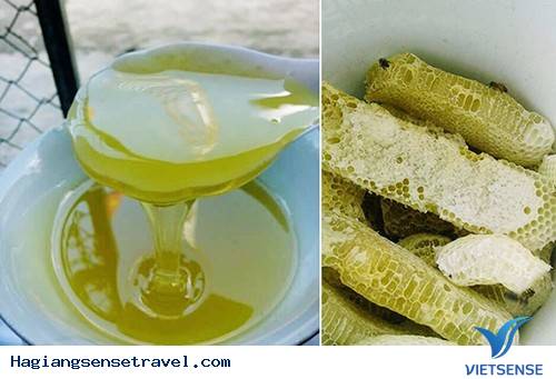 Mật Ong Bạc Hà- Đặc Sản Hà Giang - Ảnh 1