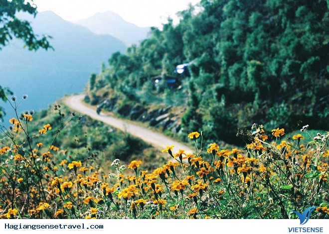 Đường vào Phó Bảng - Ảnh 2 Đường vào Phó Bảng - Ảnh 2