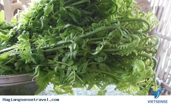 Thưởng Thức Đặc Sản Rau Lạ Đất Hà Giang - Ảnh 1