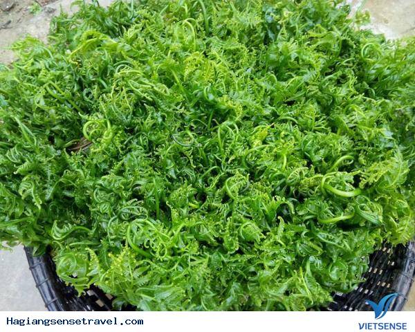 Thưởng Thức Đặc Sản Rau Lạ Đất Hà Giang - Ảnh 2